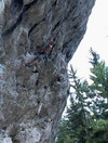 adlitzgraben_king_kong_03_resize.jpg