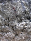 adlitzgraben_king_kong_09_resize.jpg