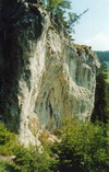 falk_zapf_resize.jpg