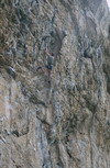 osp_grzesiek_rodeo_6c_resize.jpg