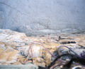 tre_cime05_resize.jpg